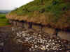 Knowth (128161 bytes)