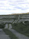 Side road in the Burren (72733 bytes)