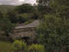 Stone bridge near Killarney (106423 bytes)