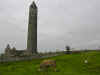 Kilmacduagh Monastic Complex (63751 bytes)