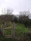 Wood Gate to Killelton path (98423 bytes)