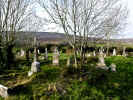 Rathborney Church and Cemetary (217385 bytes)