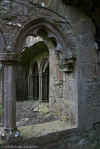 Interior cloister arch at Bective Abbey (76392 bytes)