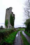 Ballymarkahan Castle (119914 bytes)