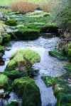 Stream near Killeany Church (747976 bytes)