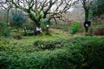 St. Flannan's Holy Well