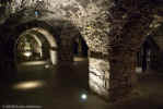 Underground vault at Christ's Church Cathedral (64142 bytes)